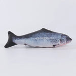 Realistic fish dog toy flat lay all 8 fish species lineup