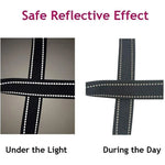 Reflective dog harness and leash set dog wearing outdoor night walk