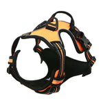 Dog harness leash and collar set chest and back D-ring clips
