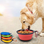 Collapsible dog travel bowl folded compact for bag storage