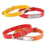 Personalized dog collar engraved text closeup nameplate detail