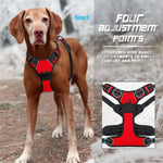 Dog harness leash and collar set green color variant lifestyle