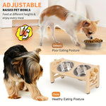 Elevated dog food bowl stand for improved posture and digestion