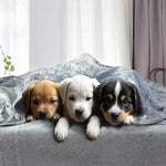 Puppy wrapped in sherpa fleece dog blanket new home comfort
