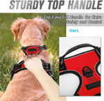 Dog harness leash and collar set adjustment buckle detail