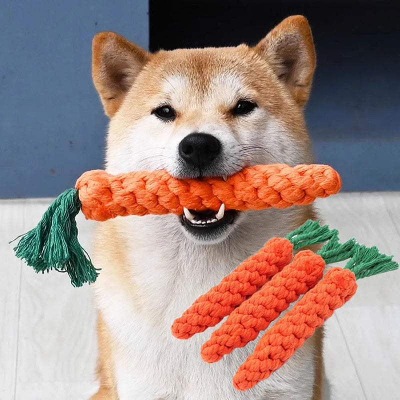 Carrot rope dog chew toy braided cotton tug and floss natural safe
