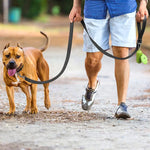 Reflective dog harness and leash set size S M L XL chart