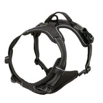 Dog harness leash and collar set product flat lay all pieces
