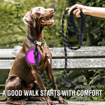 Reflective dog leash nylon webbing reflective thread weave detail
