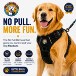 No-Pull Dog Harness by Big Paw Baby's - hero shot front clip reflective training harness on white background