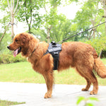 Personalized dog harness red color variant front chest clip D-ring