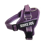 Personalized dog harness size chart XS S M L XL 2XL measurement guide