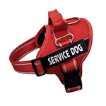 Personalized dog harness adjustment buckle expandable contractible fit